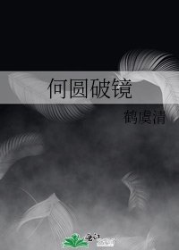 何圆破镜
